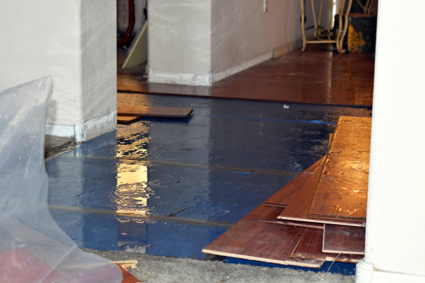 Professional Burst Pipe Cleanup technician working in Franklin Park, NJ